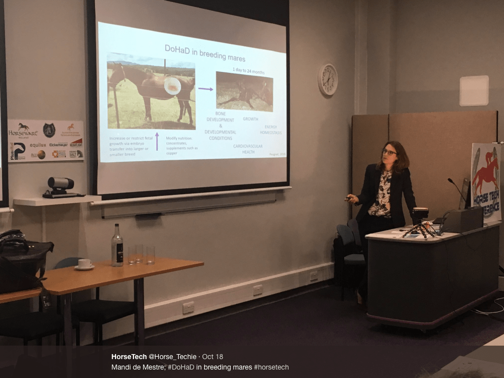 Screen Shot 2017-10-20 at 08.49.00