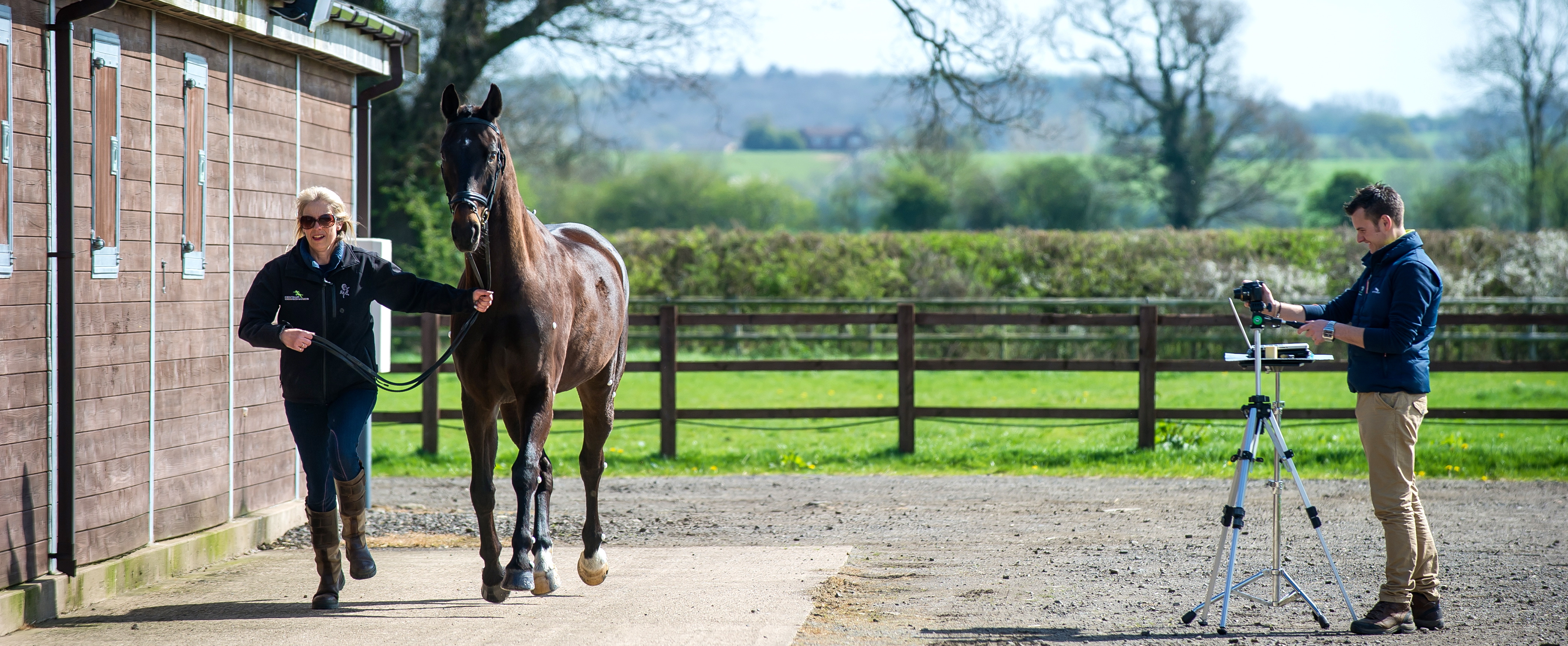 Gait analysis workshop